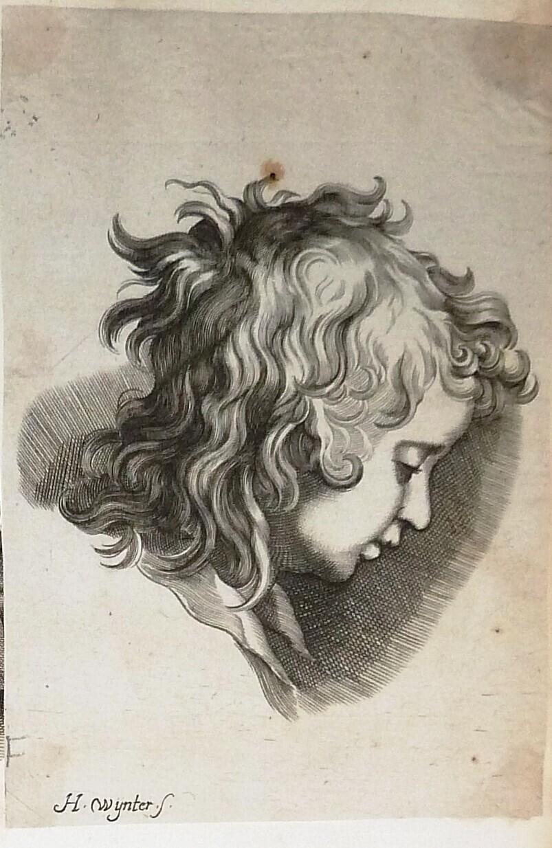 Profile Head of a Youth with Curly Hair