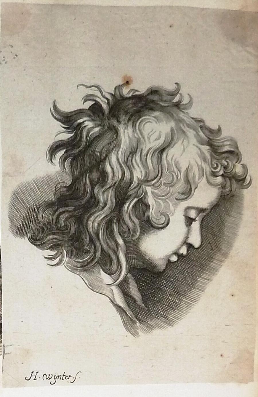 Profile Head of a Youth with Curly Hair