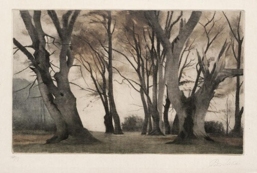 Winterlandschap