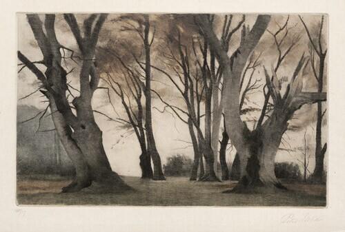 Winter Landscape