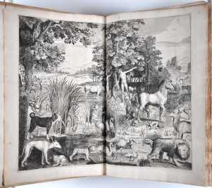 adam-en-eva-in-het-paradijs