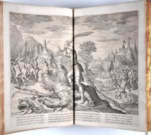 david-onthoofdt-goliath
