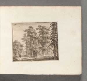 path-in-a-wood-with-two-men-on-the-left