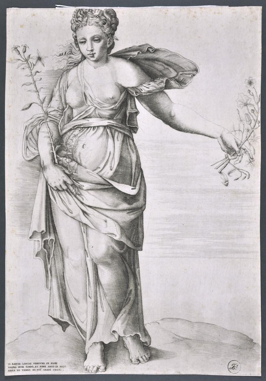 Flora