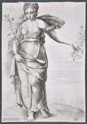 flora