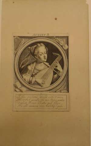 auditus-het-gehoor