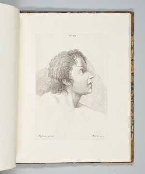 head-of-the-son-of-theophilus-from-the-life-of-the-celebrated-painter-masaccio