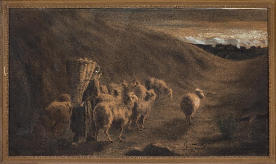 Schapen met hoedster