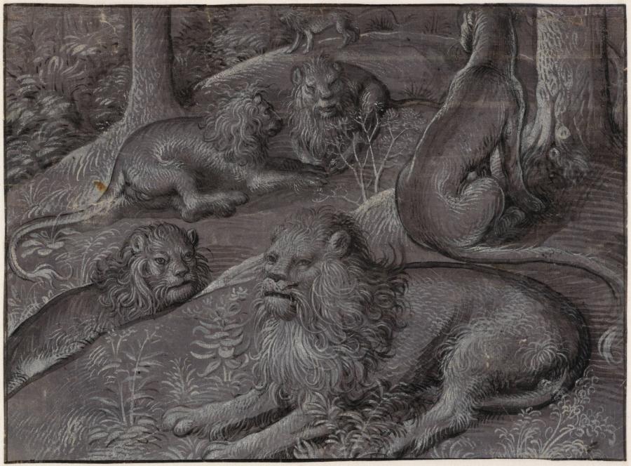 Six Lions in a Wood