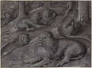 six-lions-in-a-wood