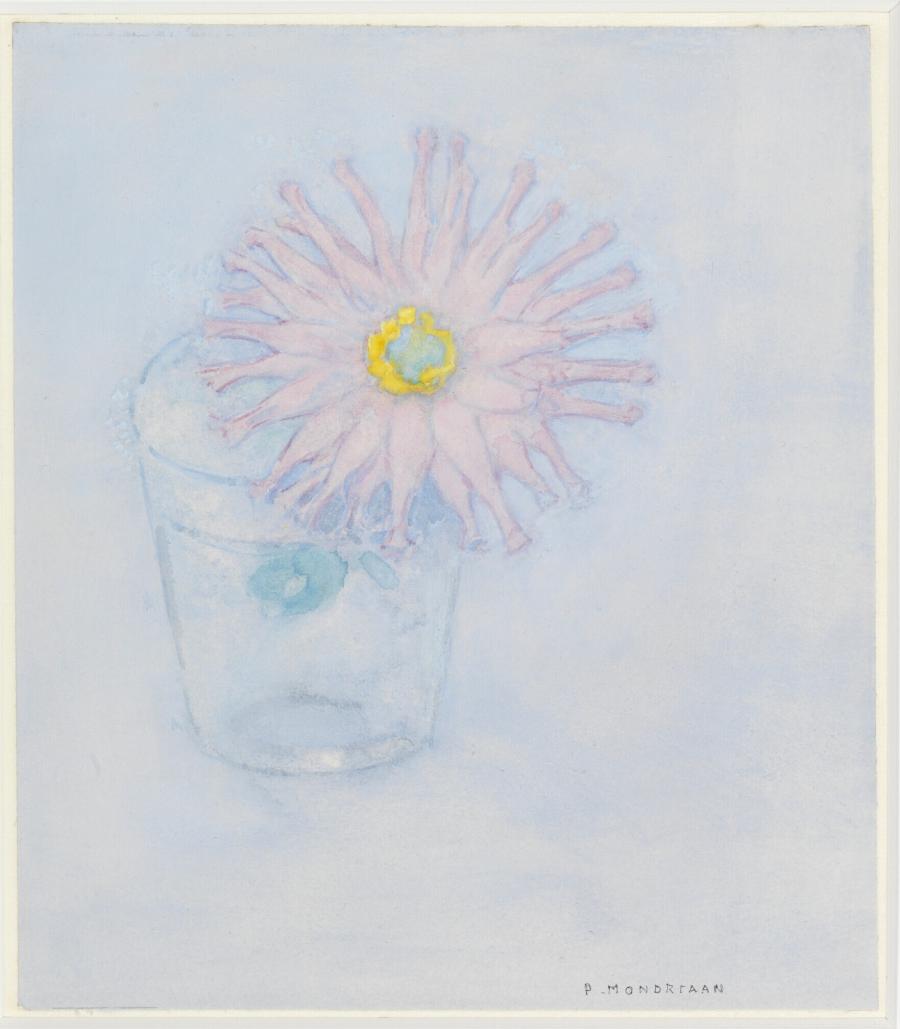 Chrysant in een glas