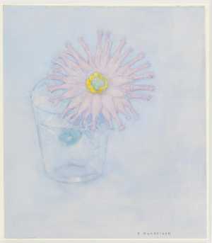 chrysanthemum-in-a-glass