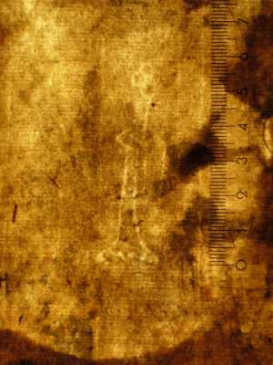 TMSFoto/PK/MB 1771 (PK)_2.jpg