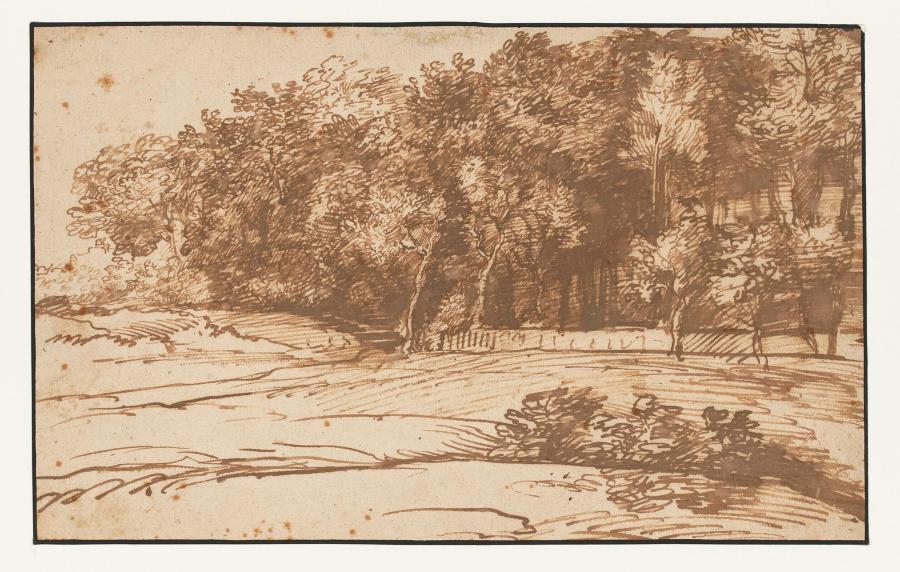 Edge of a Wood
