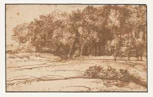 edge-of-a-wood