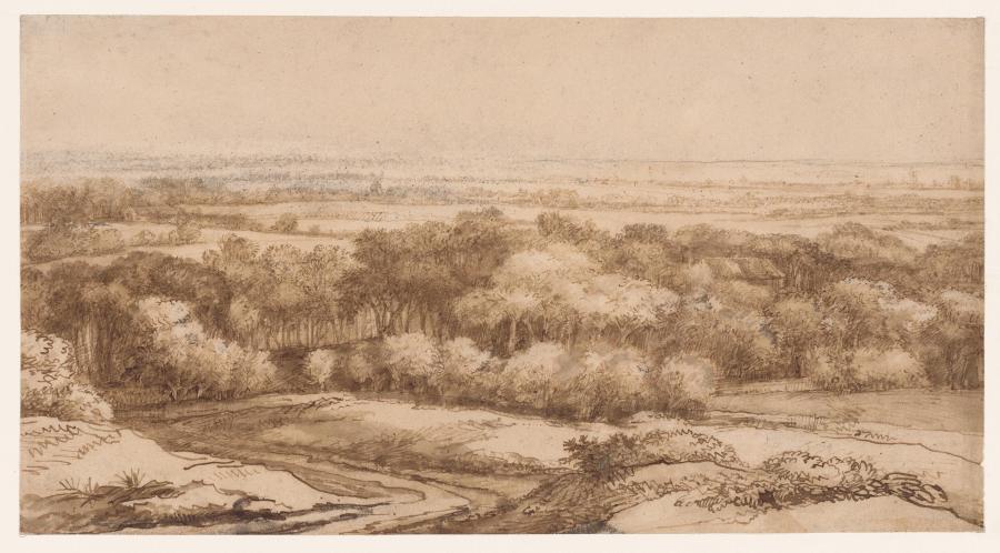 Panoramisch landschap