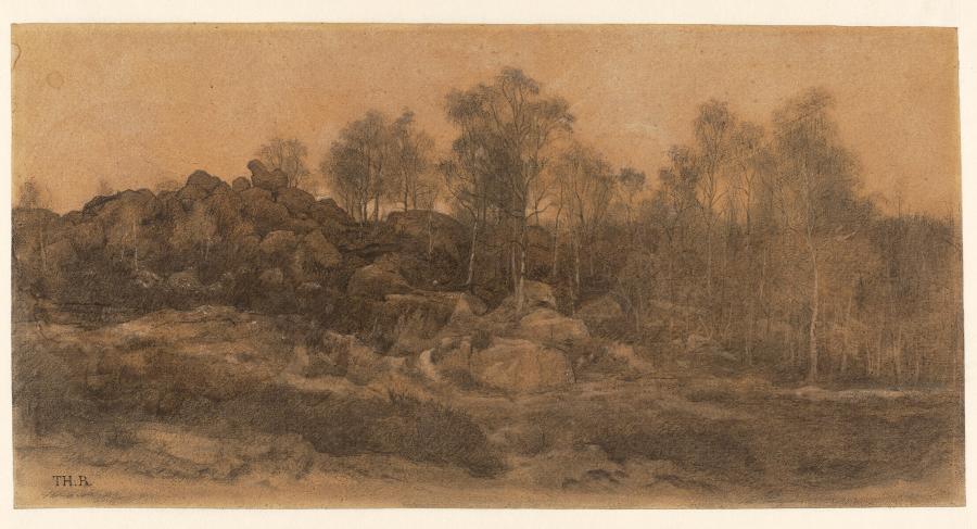 View in the Forest of Fontainebleau