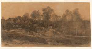 view-in-the-forest-of-fontainebleau