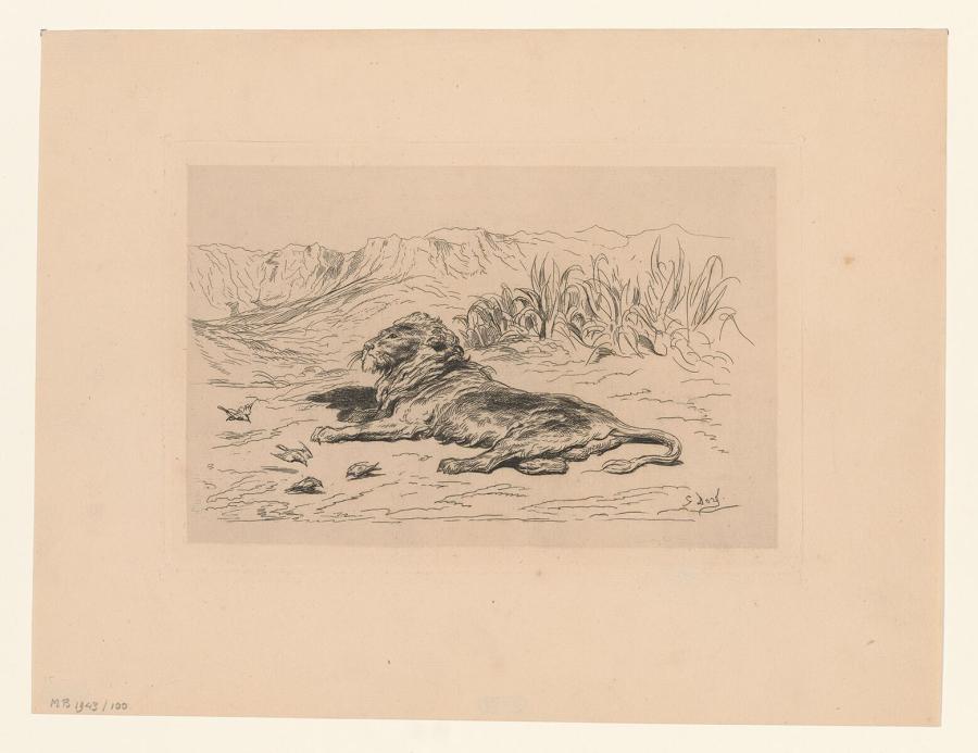 Lion lying in Landscape