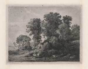 trees-and-shrubs-on-a-hill