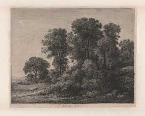 trees-and-shrubs-on-a-hill