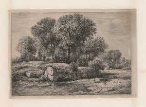 trees-near-a-pool