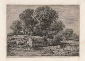 trees-near-a-pool