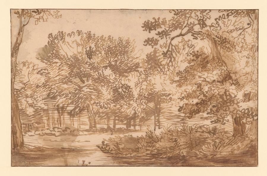 Study of a Wood