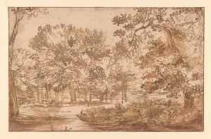 study-of-a-wood