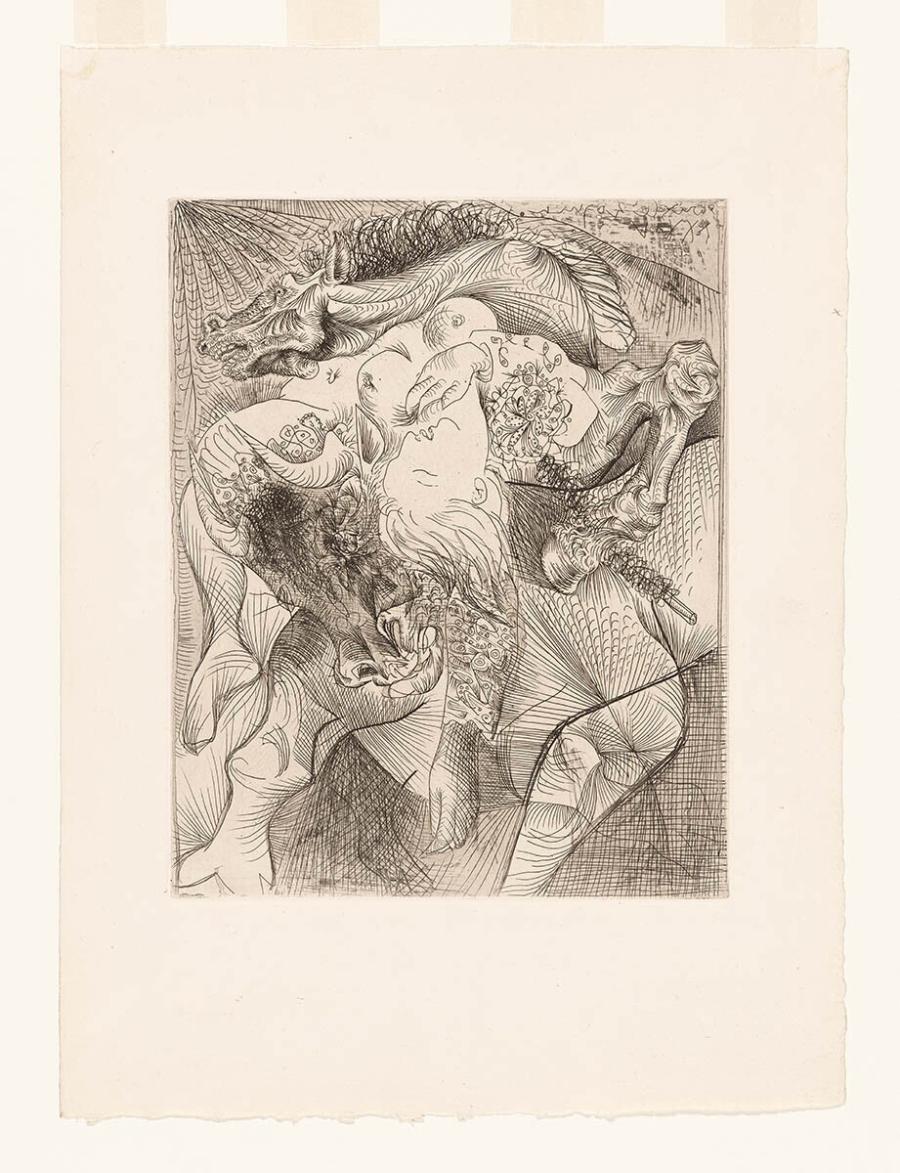 Woman Bullfighter