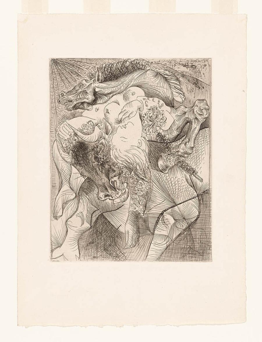 Woman Bullfighter