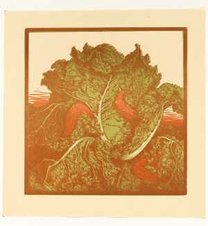 green-cabbage-with-snails