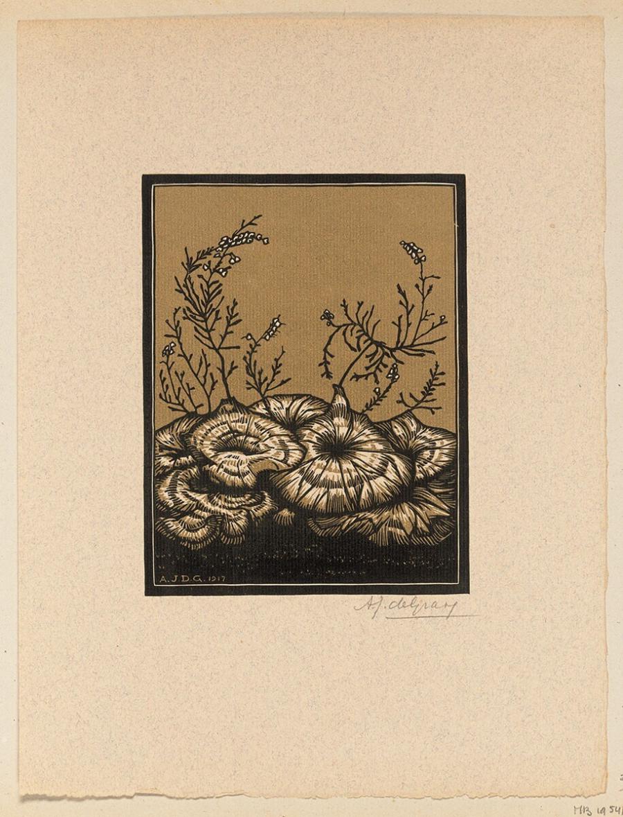 Bloemen met heide