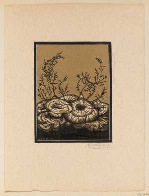 bloemen-met-heide