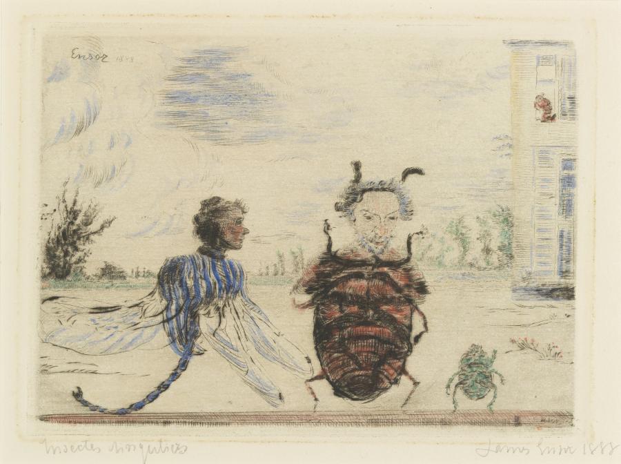 Insectes singuliers