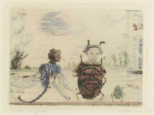 insectes-singuliers