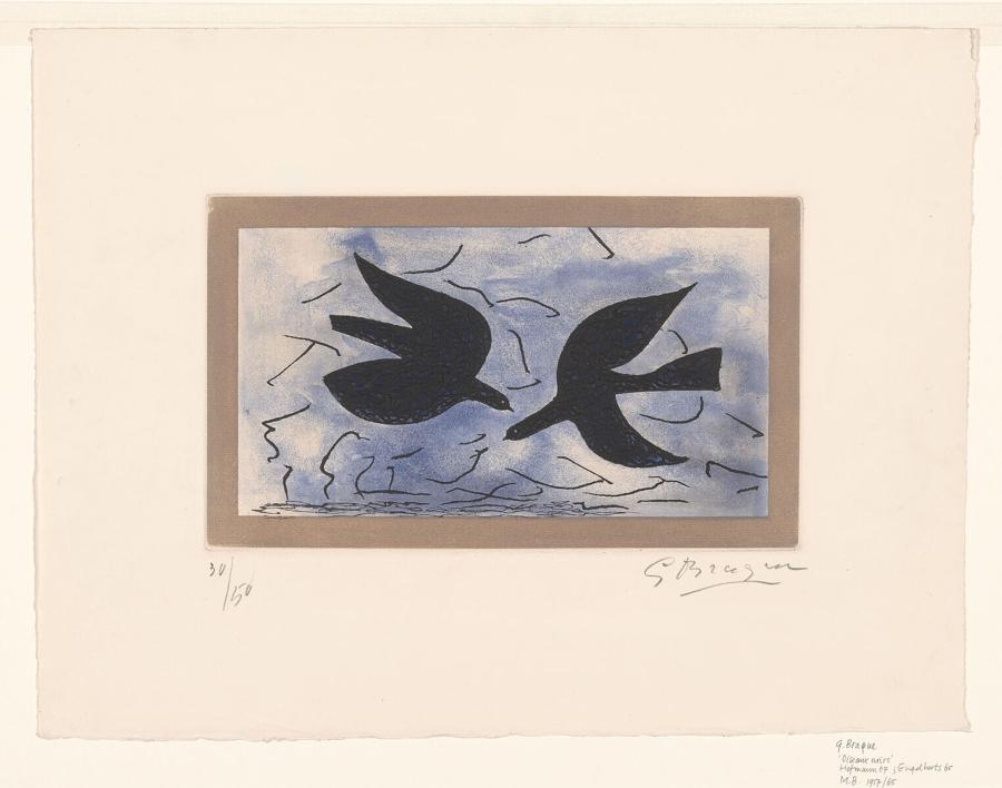 Twee vogels (Vogels X)