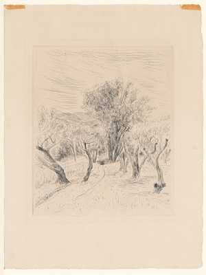 the-old-olive-trees