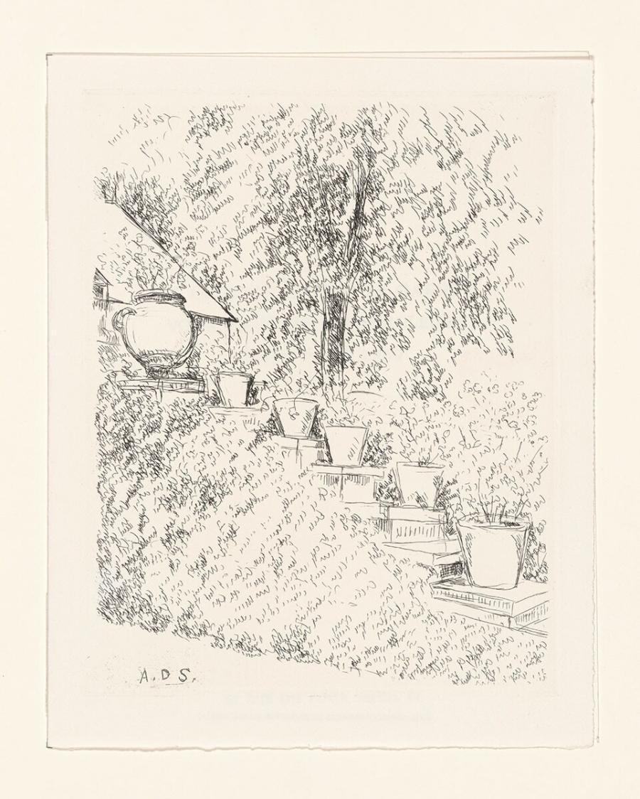 Stairs with Flower Pots in a Garden