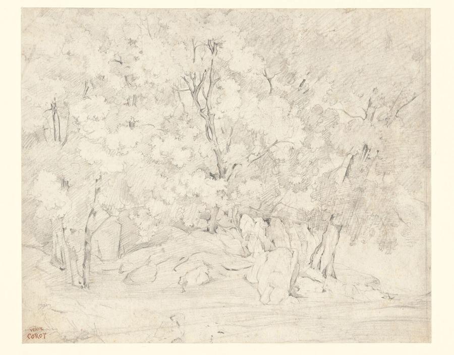 Boslandschap met rotsen