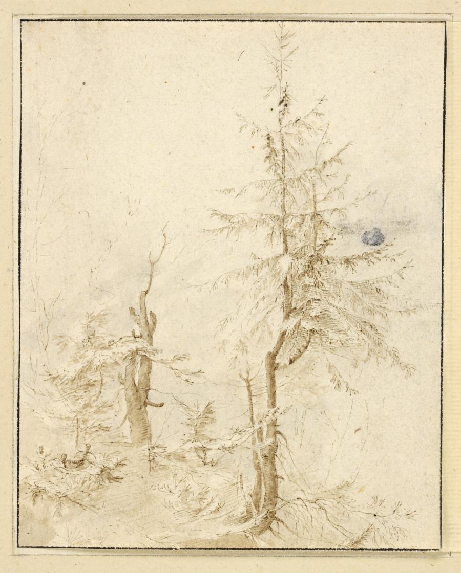 Two Trees and Scrubs