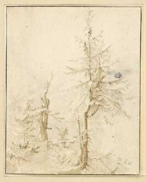 two-trees-and-scrubs