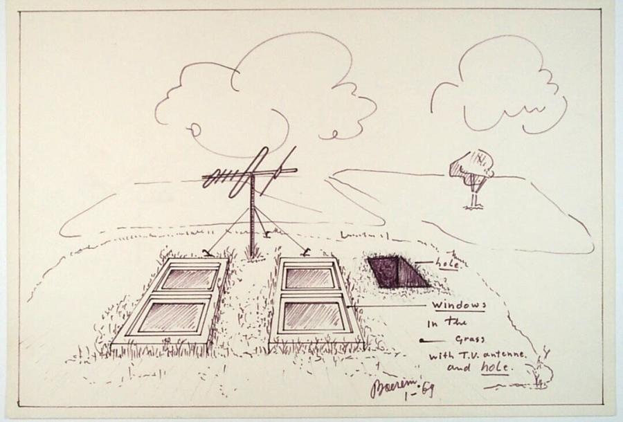Windows in the Grass with T.V. Antenna and Hole