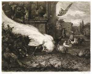 the-white-peacock