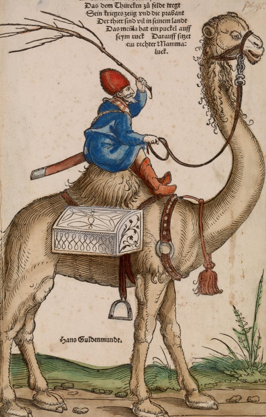 Turk Riding a Dromedary