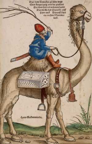 turk-riding-a-dromedary