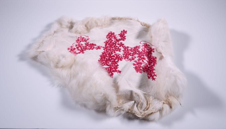 The White Rabbit Letter