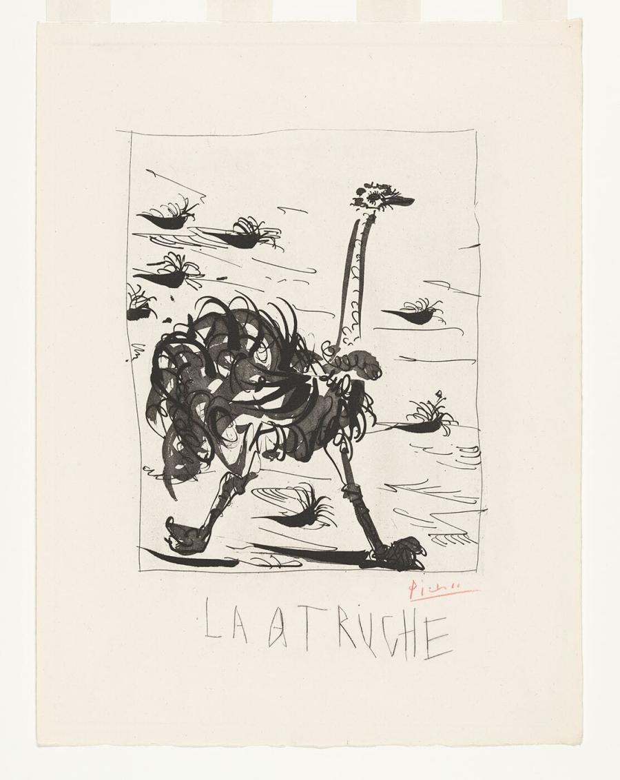 L'Autruche (De struisvogel)