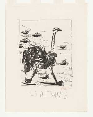 la-autruche-struisvogel