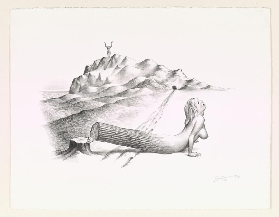 De gevelde stam